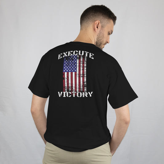 Stars,stripes and victory T-shirt