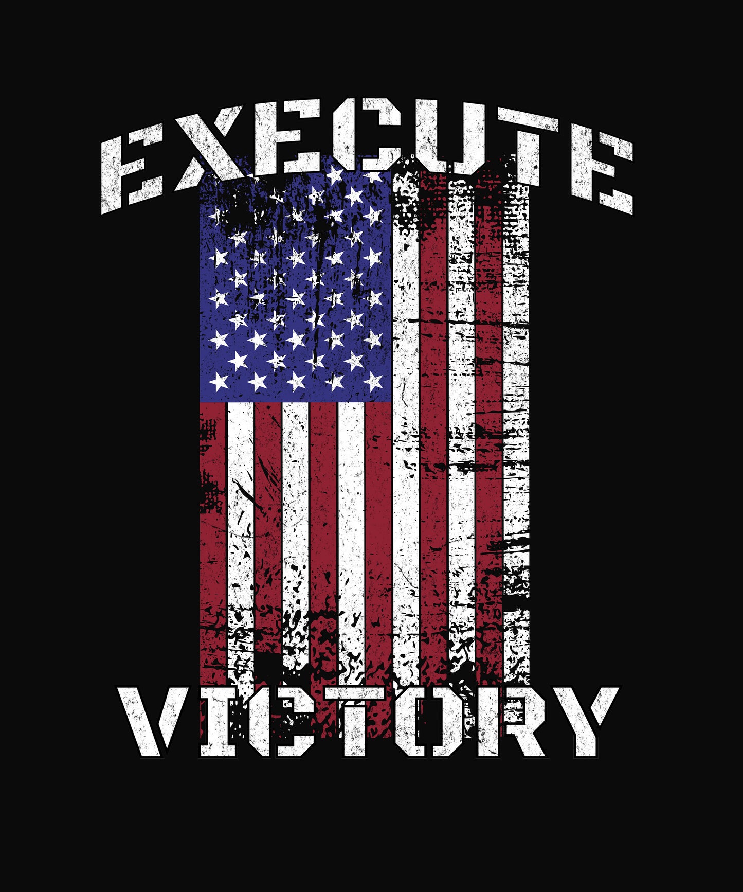 Stars,stripes and victory T-shirt